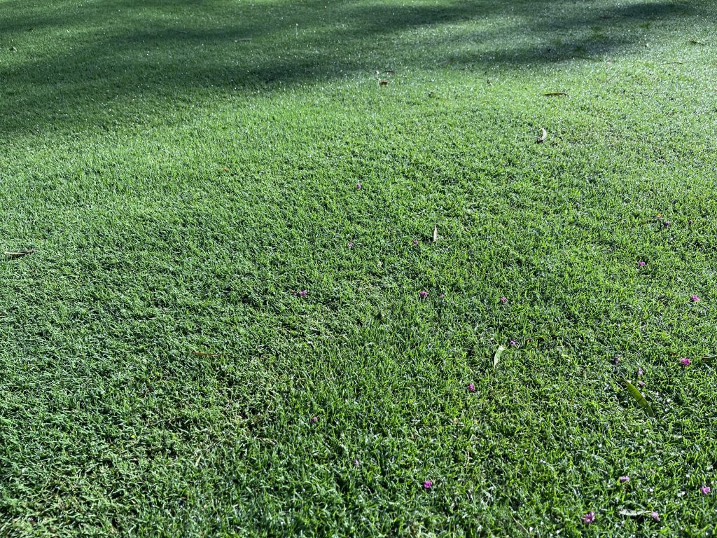 Pitt Town Sprinkler systems